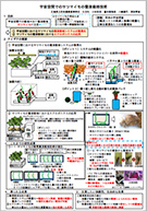 宇宙空間でのサツマイモの養液栽培技術