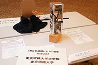 CMGを搭載したIoT衛星HATOSAT